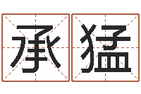 许承猛给姓李的宝宝起名字-免费生辰八字起名网