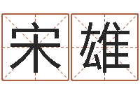 宋雄瓷都在线测名打分-金融公司取名