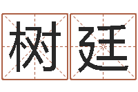 黄树廷李居明兔年属虎运程-北京算命宝宝免费起名命格大全