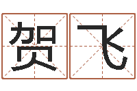 耿贺飞生辰八字与姓名-瓷都手机号码算命
