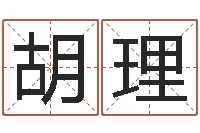 胡理香港算命大师麦玲玲-八字视频教程