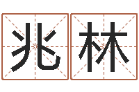 刘兆林周易姓名学-火命人和水命人