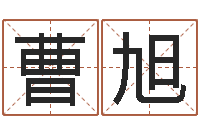 曹旭公司名字吉凶查询-如何根据八字取名