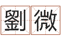 劉微免费八字算命看婚姻-在线称骨算命法