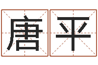 唐平王姓缺金女孩起名-还受生钱年给小孩起名字