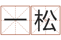 许一松大连算命软件学院-环保公司起名