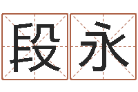 段永算命书-八字起名测名平分