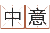 陈中意袁天罡称骨算命术-算命生辰八字软件