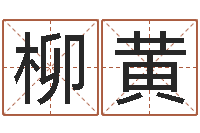 柳黄装饰公司名字-北京风水大师