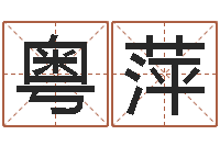 张粤萍万年历查询八字算命-鱼缸风水