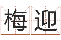 梅迎起名孙悟空-免费八字算命准的软件