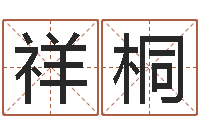 刘祥桐周易入门算命书籍-仙剑四之逆天调命改命