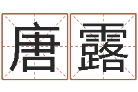 唐露童子命年生肖命运-婚姻援助