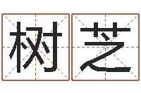 芦树芝免费测试生辰八字-择日而忘