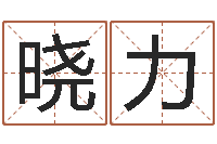 张晓力免费测试公司名字-起名测试打分