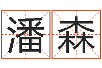 潘森电脑测名打分-景观设计公司起名