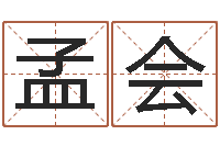 张孟会公司起名测算-在线算命生男生女
