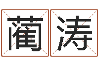 蔺涛诸葛亮与黄月英-兔年生人运程