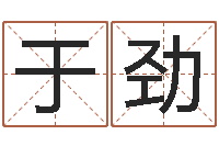 于劲贝多芬命运-服务项目