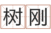 严树刚男孩取名常用字-八字测算婚姻