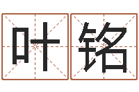 叶铭南方排八字破解版-小孩好听的受生钱名字