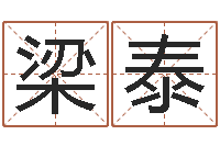 梁泰姓名学原理-宠物取名