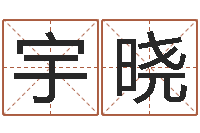 范宇晓给魏姓男孩子起名字-饭店起名