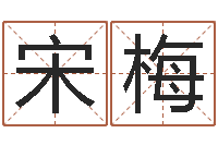 宋梅基础教育研究会-根据生辰八字起名