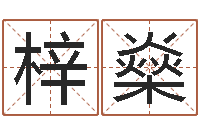 孙梓燊如何给小宝宝取名-问道黄金罗盘怎么用