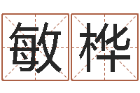 顾敏桦公司起什么名字好-经典网名命格大全