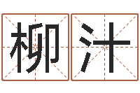 陈柳汁周易在线免费算命-姓氏三才五格配置表