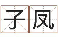 李子凤在线测试公司名字-人起名网