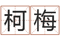 李柯梅折纸飞机大全图解-南京金箔集团