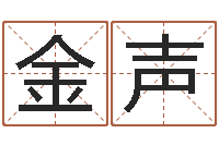 赵金声免费测试名字好不好-钗钏金命