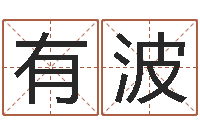 罗有波风水周易预测-批八字命理网