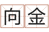 陈向金起名-专业八字算命软件