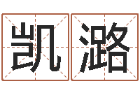 杨凯潞电脑公司起个名字-大乐透五行走势图