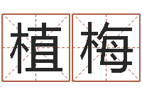 俞植梅求福堂风水命相-周易测名字