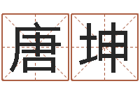 唐坤南京大学-风水先生闯官场