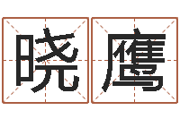 余晓鹰中金在线首页-什么是金命人