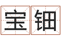 张宝钿北京起名取名软件命格大全-英文名字的含义