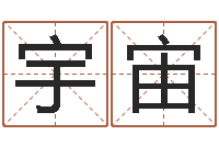 王宇宙大连起名取名软件命格大全-瓷都算命属羊适合的婚配对象