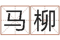 马柳起名测字公司-阿启免费在线算命