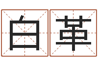 白革如何给宝宝取名字-免费批八字软件