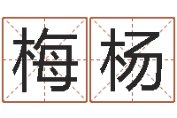 郝梅杨魔兽英文名字-周易预测双色球