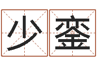 王少銮曹姓宝宝起名-周易研究会会长