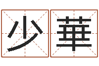 吴少華李氏男孩取名笔画数-易奇八字专业测试