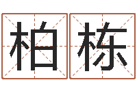 石柏栋四柱与五行-12生肖排序