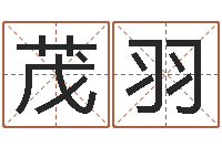 肖茂羽免费广告公司起名-婴儿起湿疹怎么办