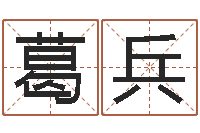 葛兵童子命年属猪人的命运-姓名情侣配对软件